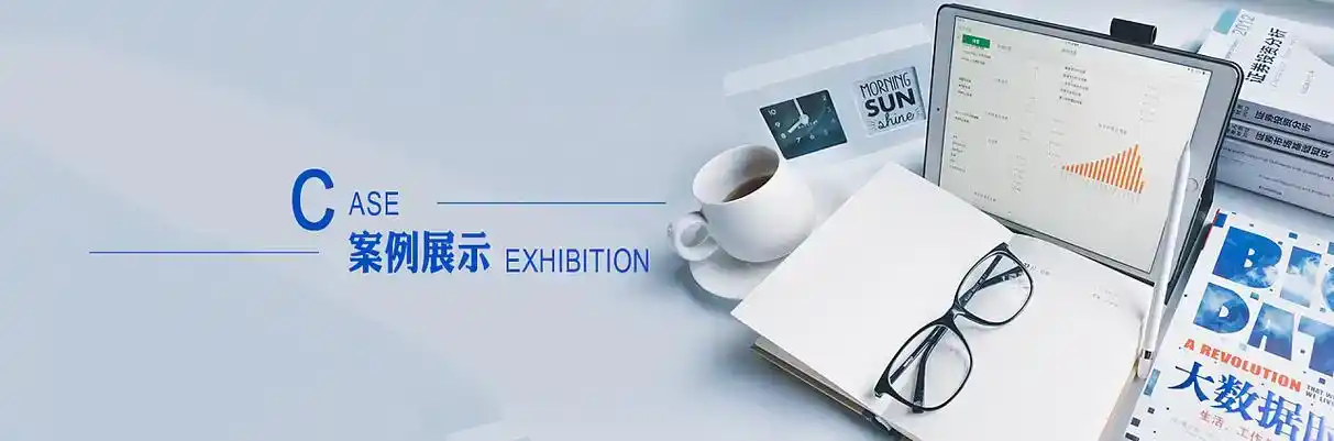 巴里坤哈萨克自治县软件开发